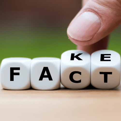 4 Würfel mit der Aufschrift Fakt und Fake.