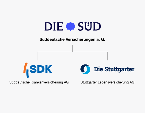 Aufbau der Versicherungs&shy;gruppe DIE SÜD