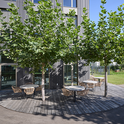 Hier ist die Terrasse der Hauptverwaltung zu sehen. 